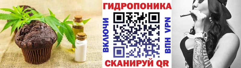 Печенье с ТГК конопля  продажа наркотиков  Усть-Катав 