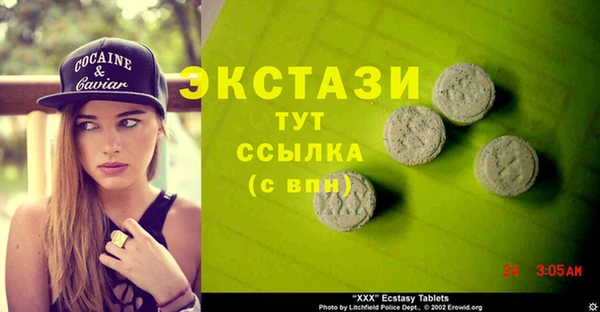 индика Лабытнанги