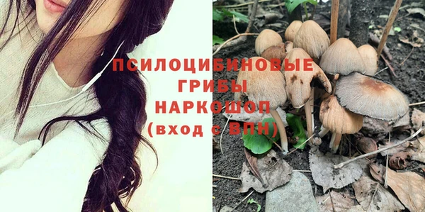 индика Лабытнанги