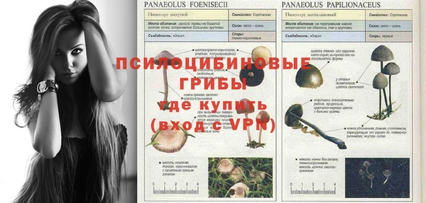 круглые Ладушкин