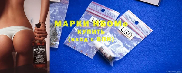 индика Лабытнанги