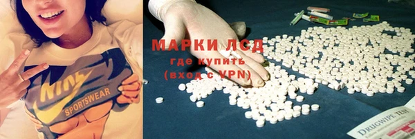 индика Лабытнанги
