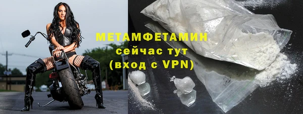 индика Лабытнанги