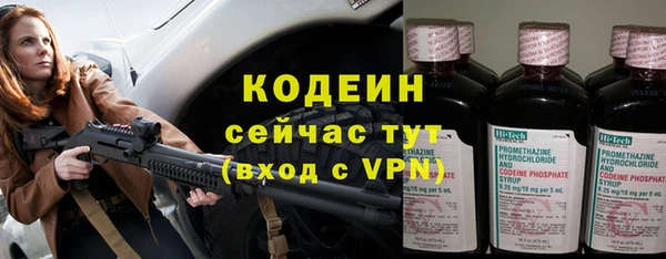 индика Лабытнанги
